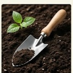 Gardening